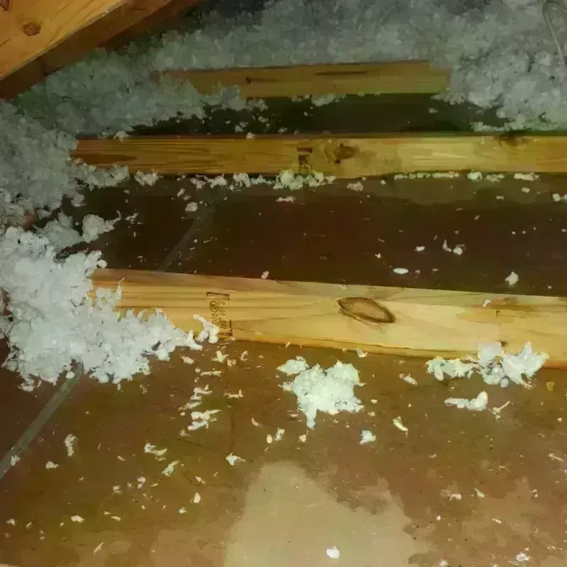 Attic Water Damage in Concord, MI