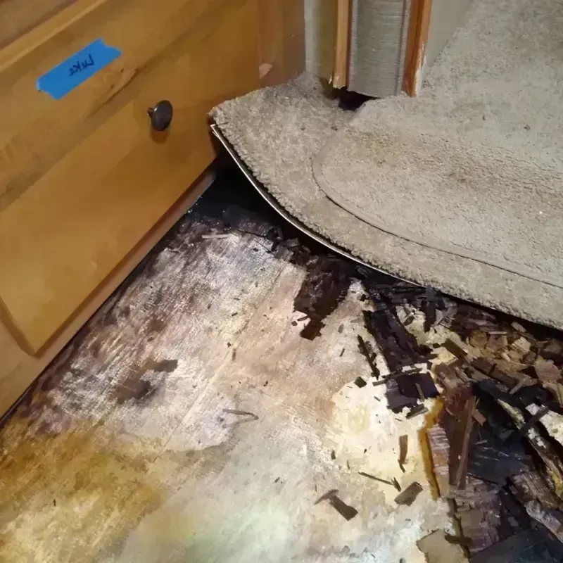 Best Wood Floor Water Damage Service in Concord, MI